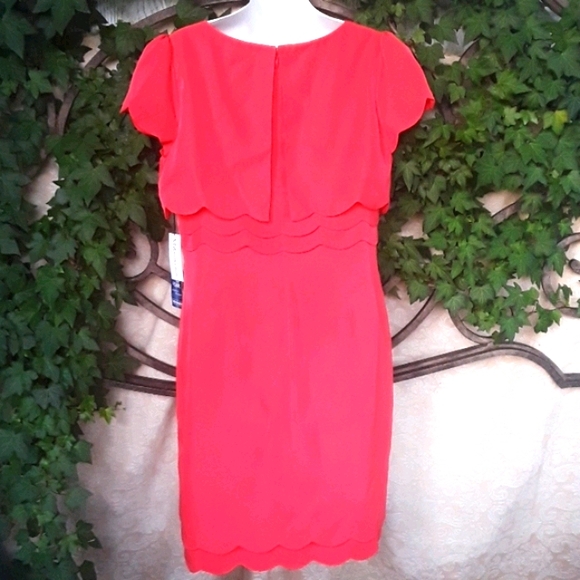 HP Γ2 πππPRICE DROP πΉNWT BEAUTIFUL DRESS - Picture 2 of 7